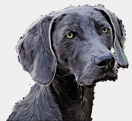 Hund im Cartoon-Style